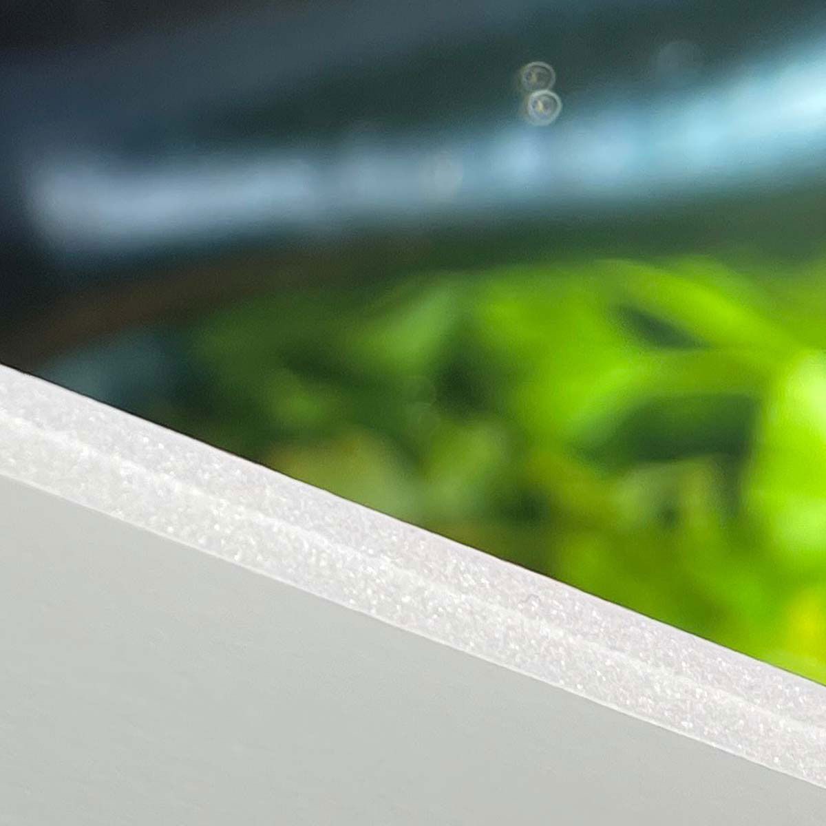 Nuotrauka ant putplasčio lentos